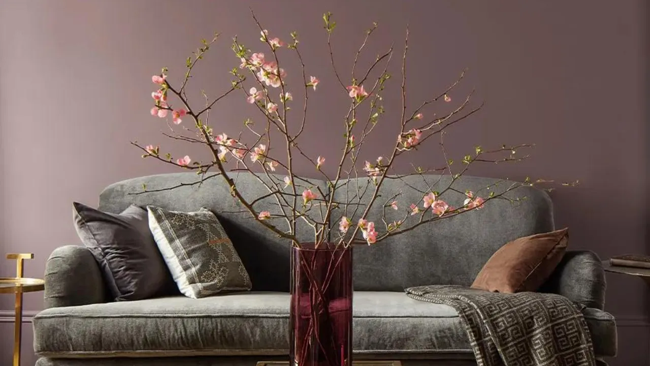 Benjamin Moore رنگ سال 2025 را اعلام کرد—و این رنگ، آرامشبخشترین و مخملیترین طیف رنگی است